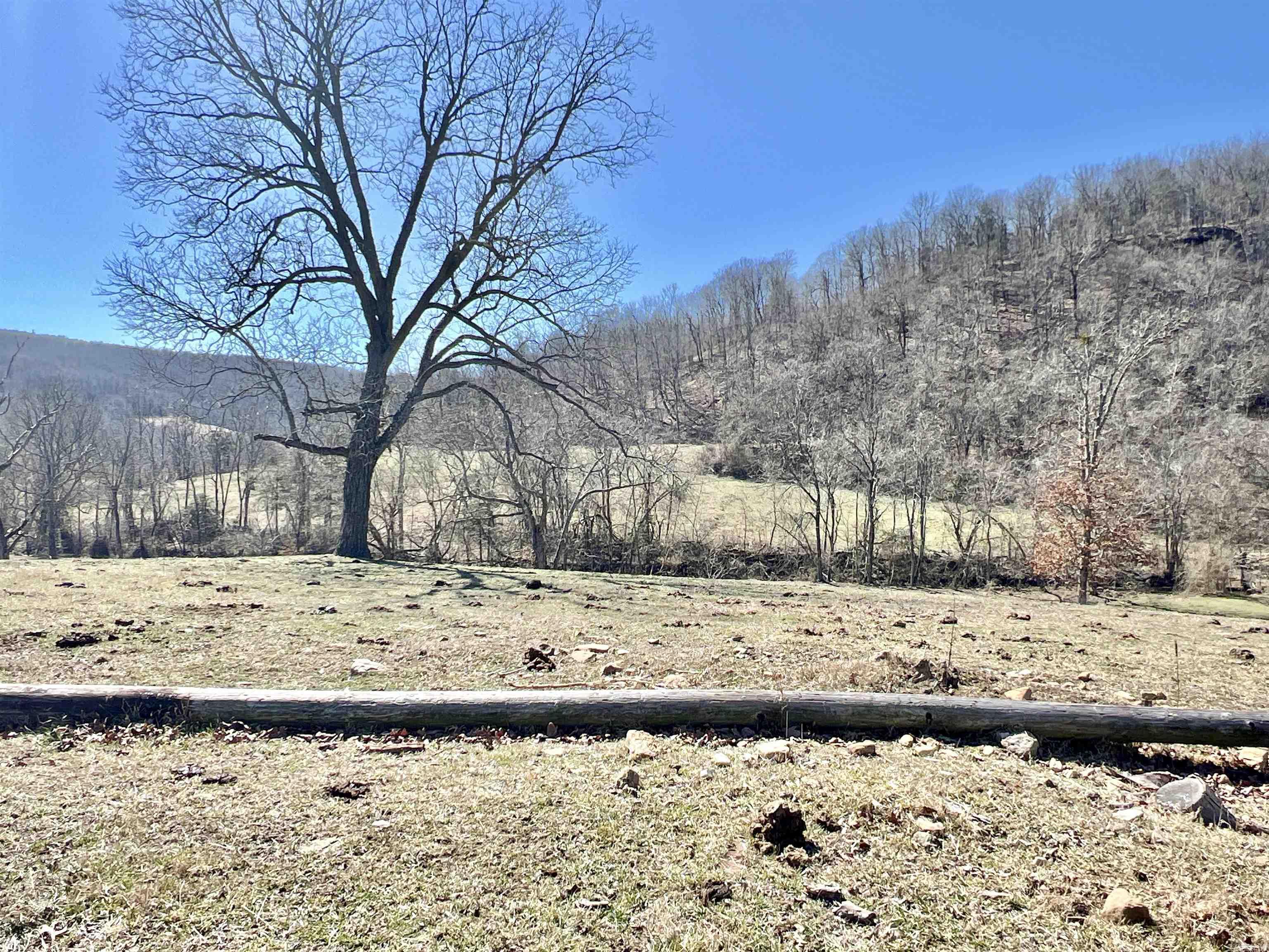 3894  Begley Creek Rd.  Leslie, AR