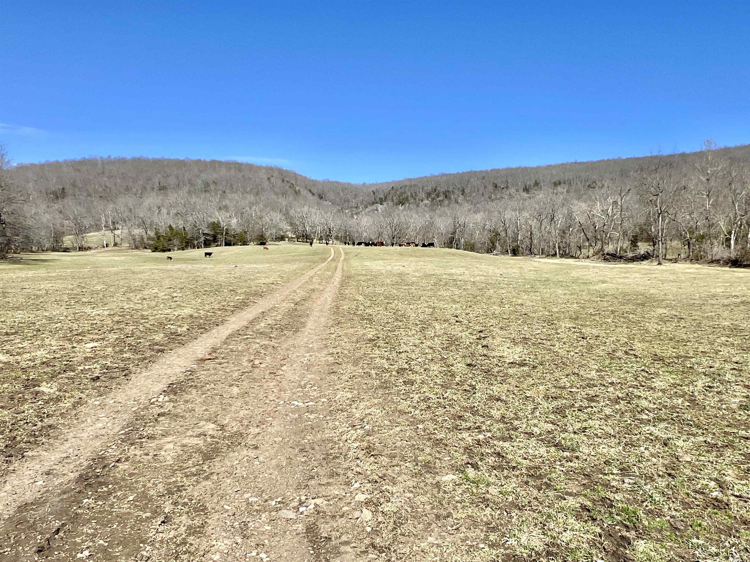 3894  Begley Creek Rd.  Leslie, AR