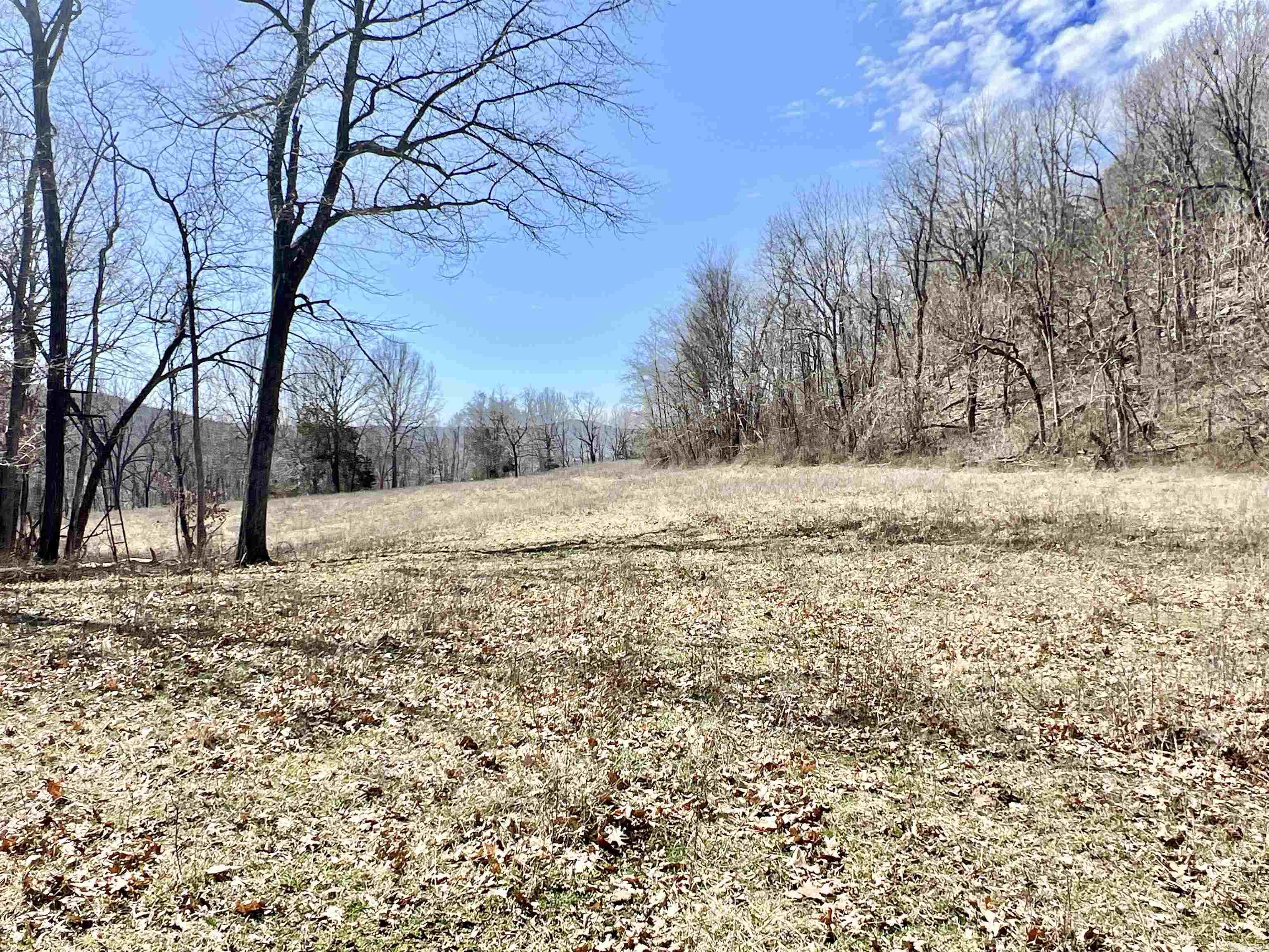 3894  Begley Creek Rd.  Leslie, AR
