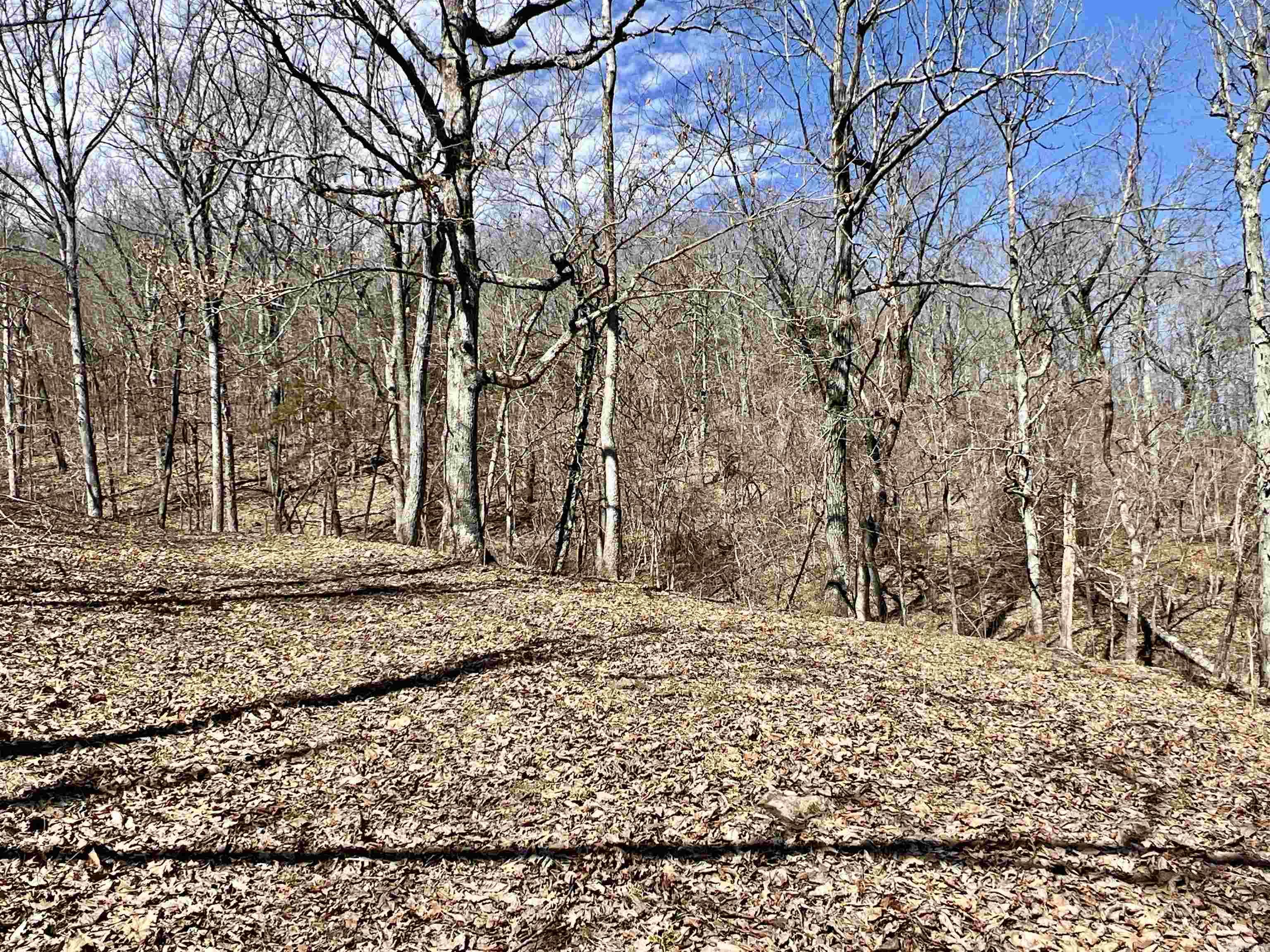 3894  Begley Creek Rd.  Leslie, AR