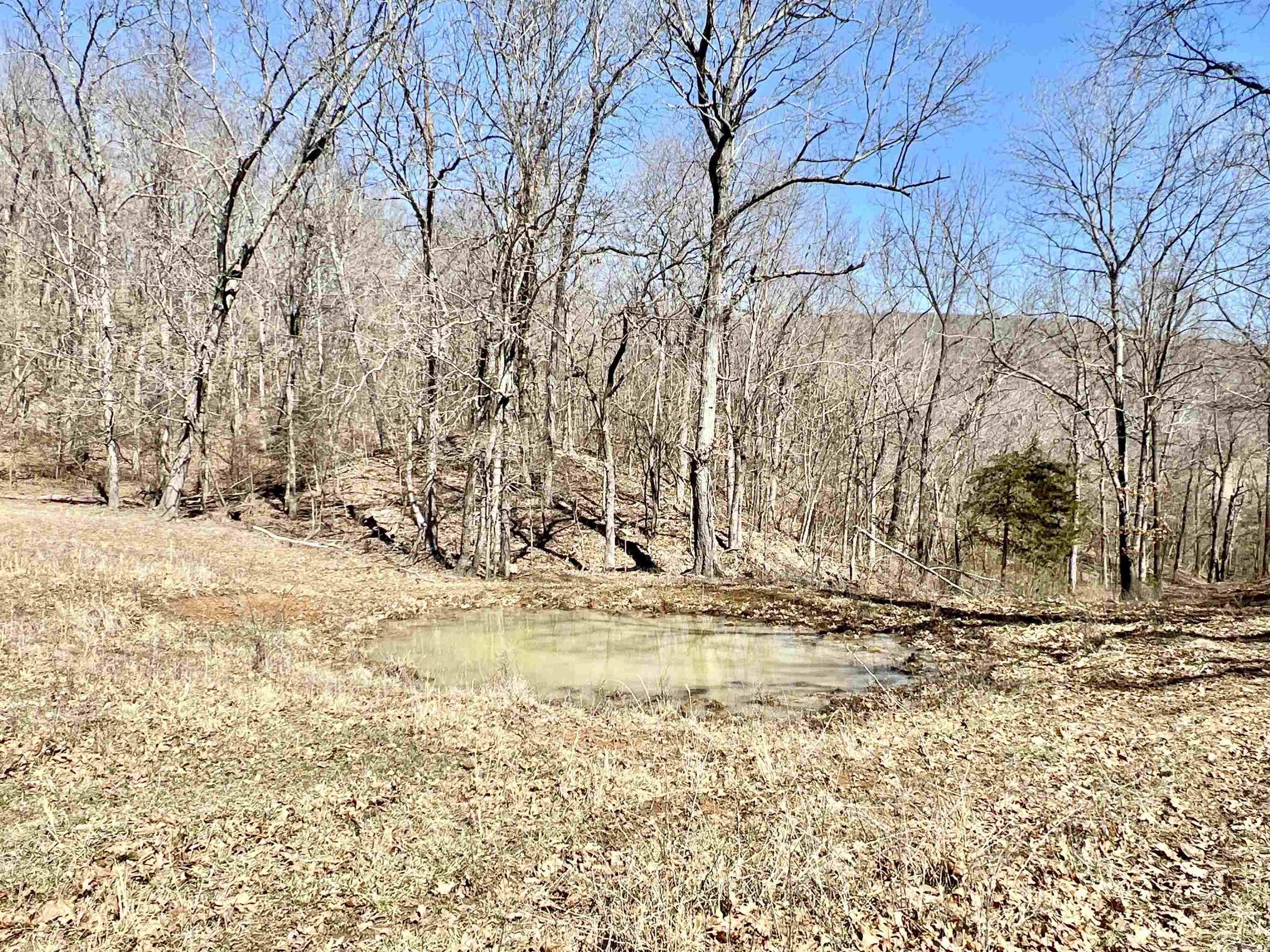 3894  Begley Creek Rd.  Leslie, AR
