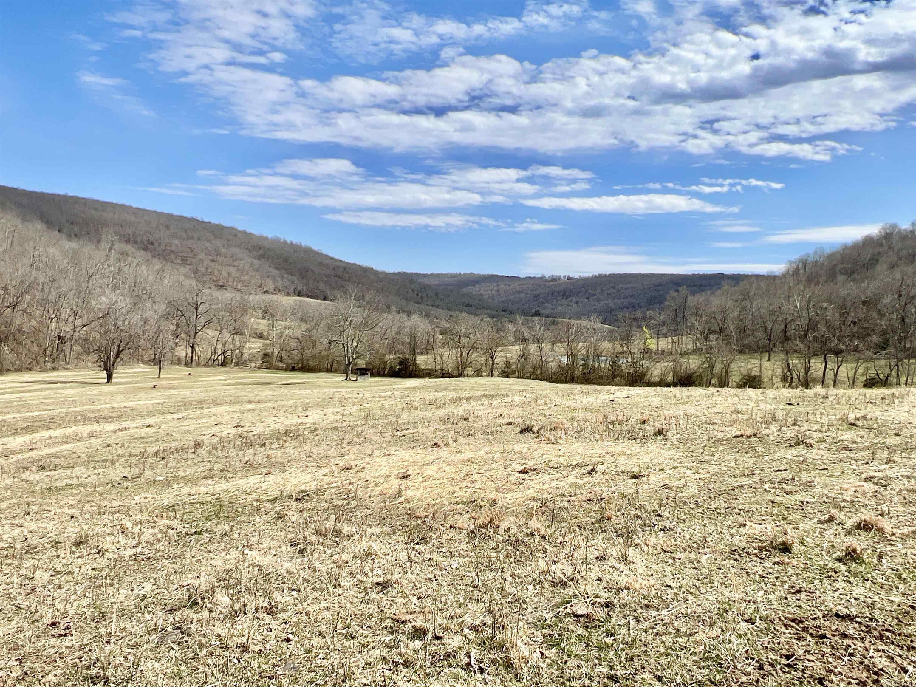 3894  Begley Creek Rd.  Leslie, AR