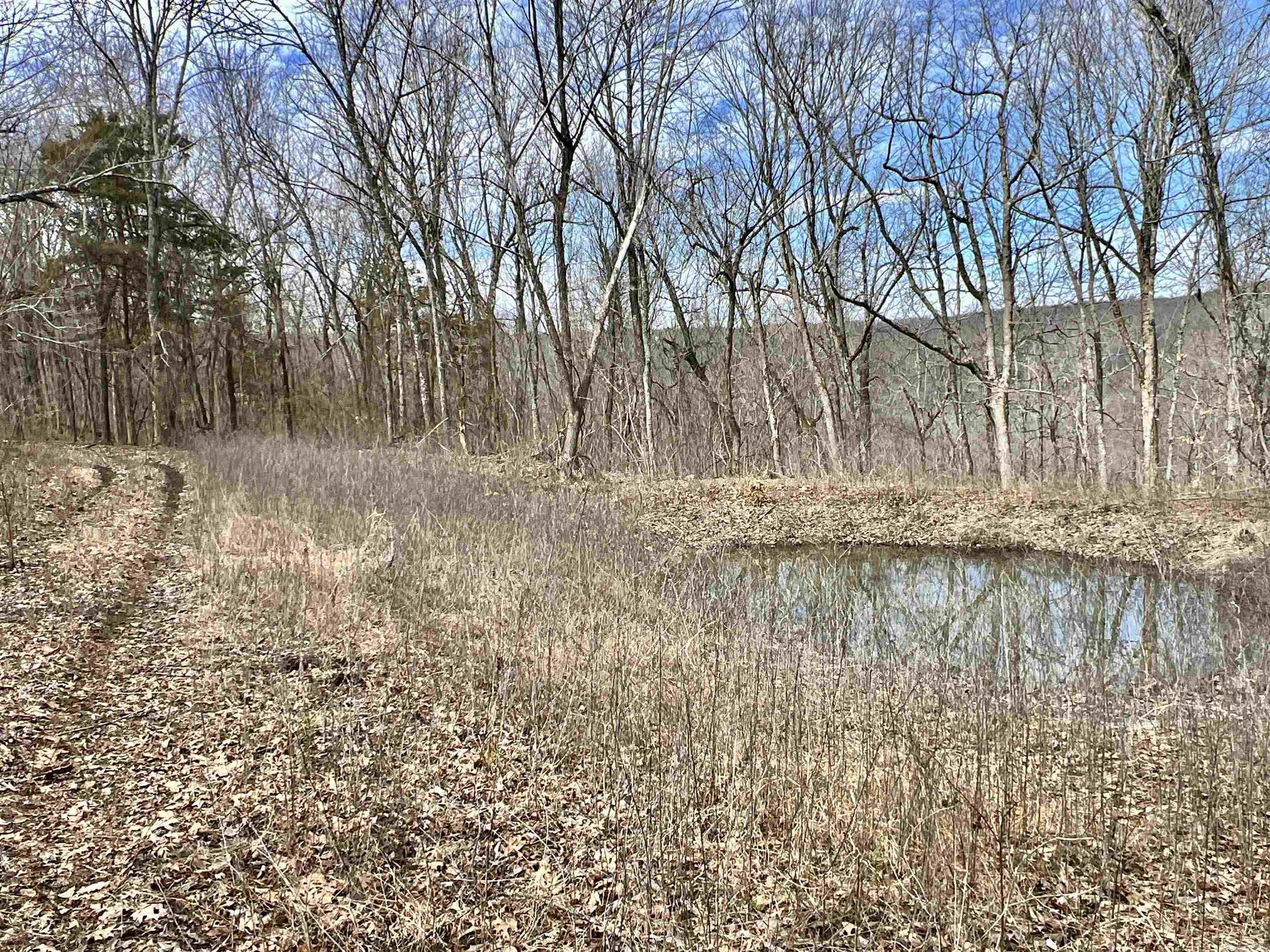 3894  Begley Creek Rd.  Leslie, AR