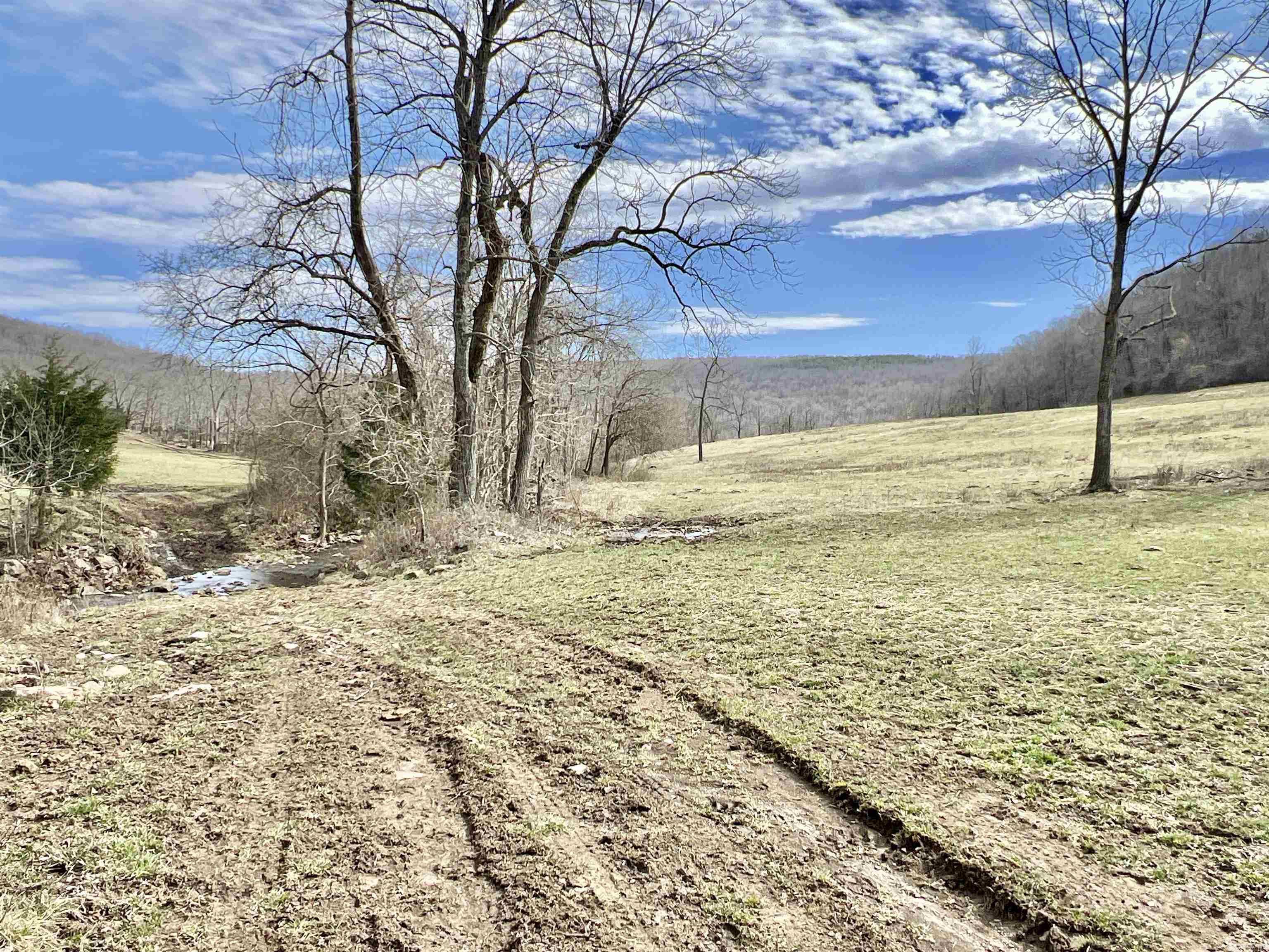 3894  Begley Creek Rd.  Leslie, AR
