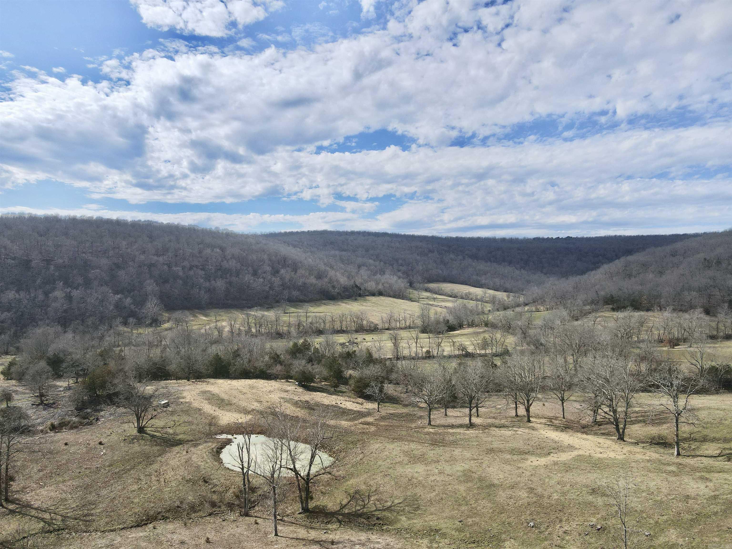 3894  Begley Creek Rd.  Leslie, AR