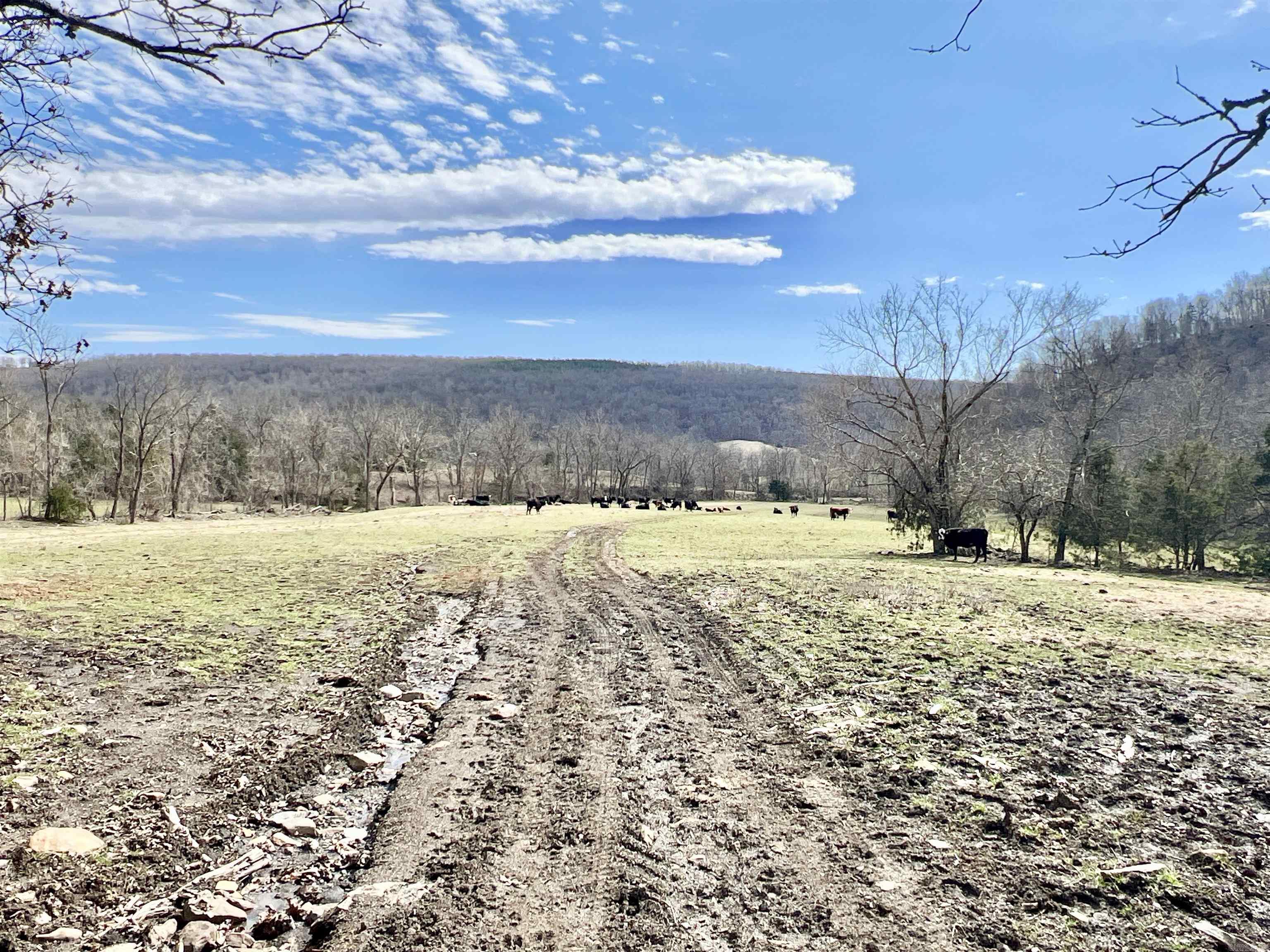 3894  Begley Creek Rd.  Leslie, AR