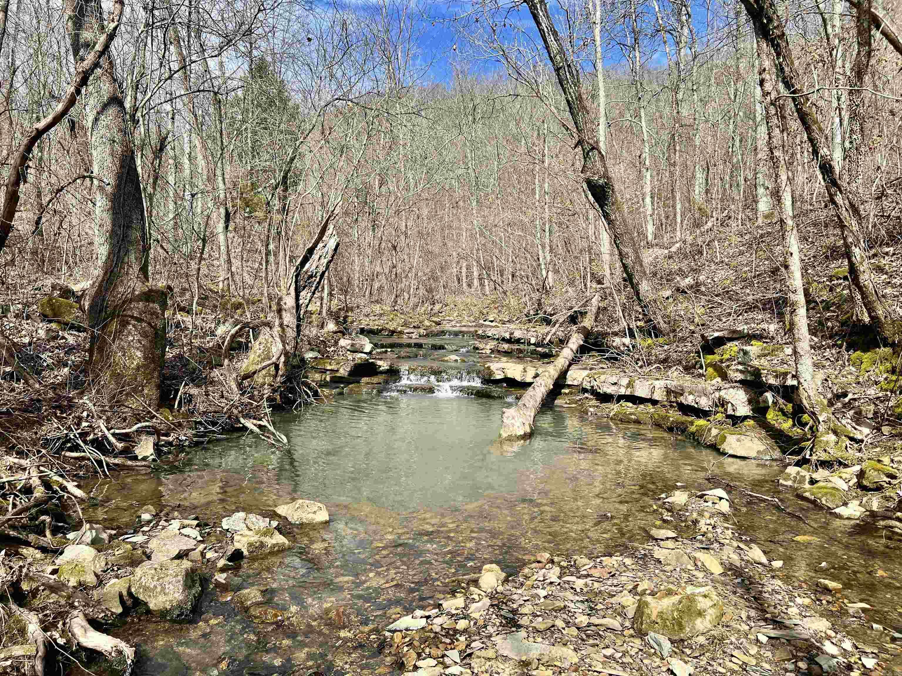 3894  Begley Creek Rd.  Leslie, AR