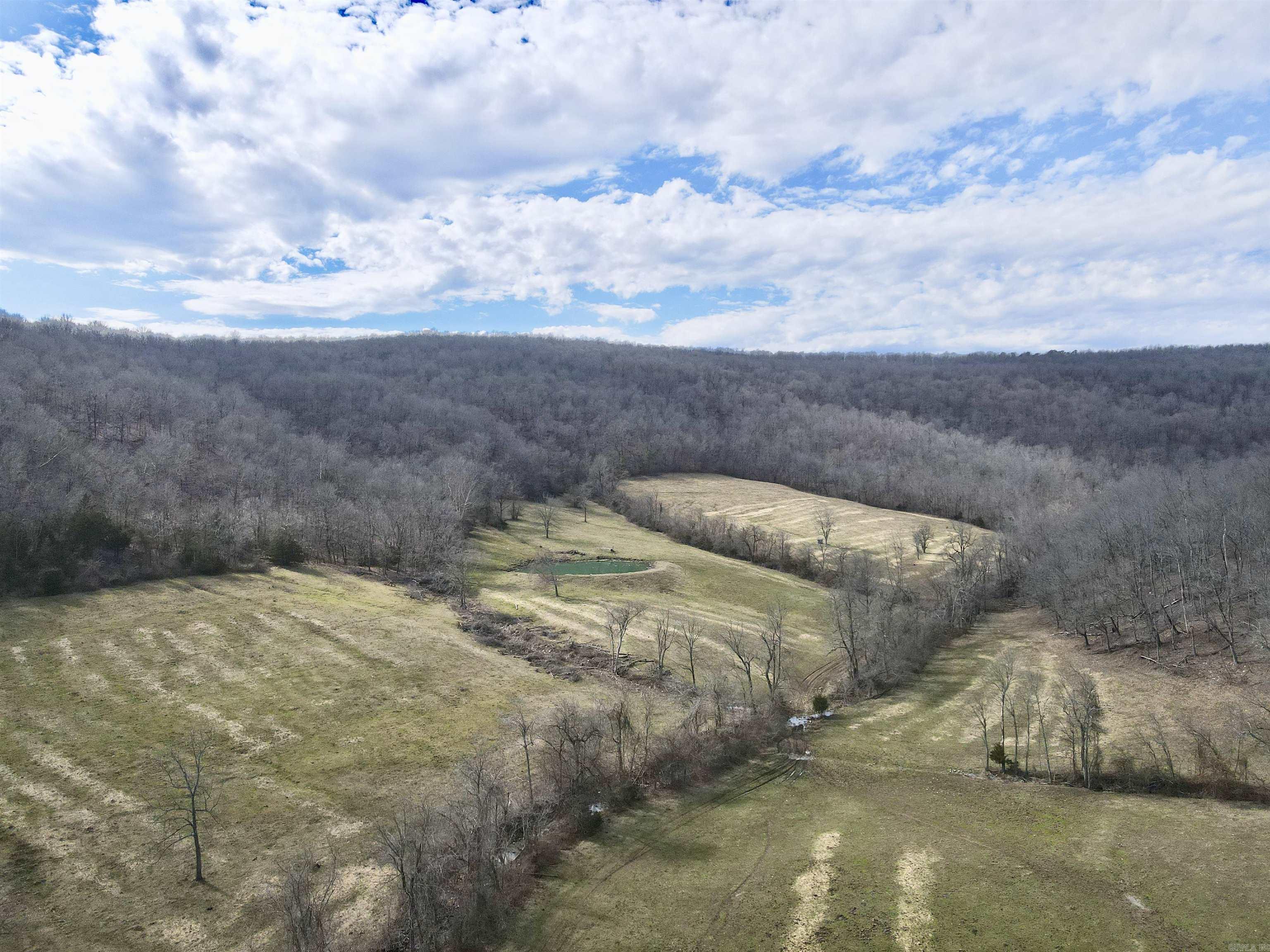 3894  Begley Creek Rd.  Leslie, AR
