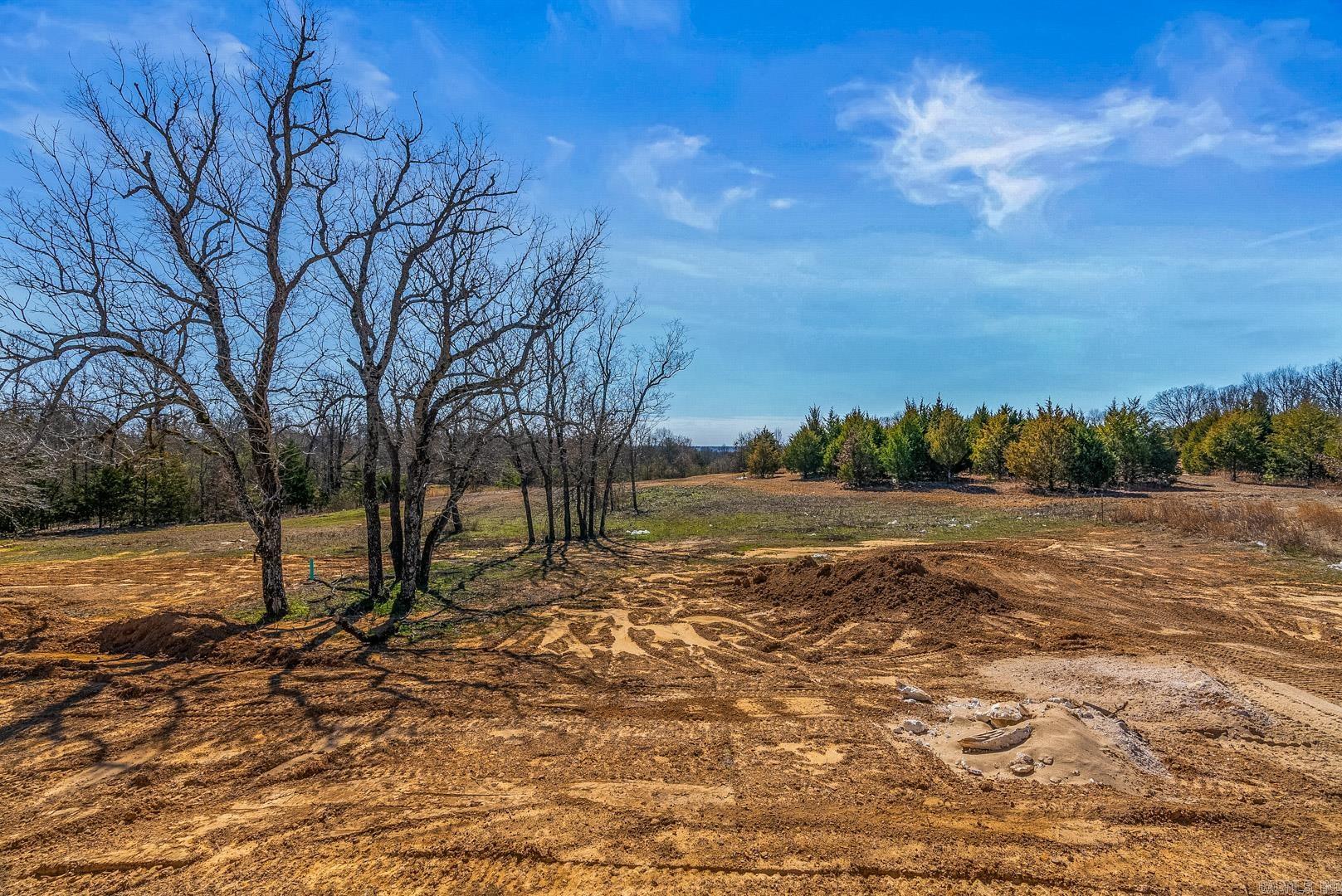 27 Summerlyn Place Drive Greenbrier, AR 72058