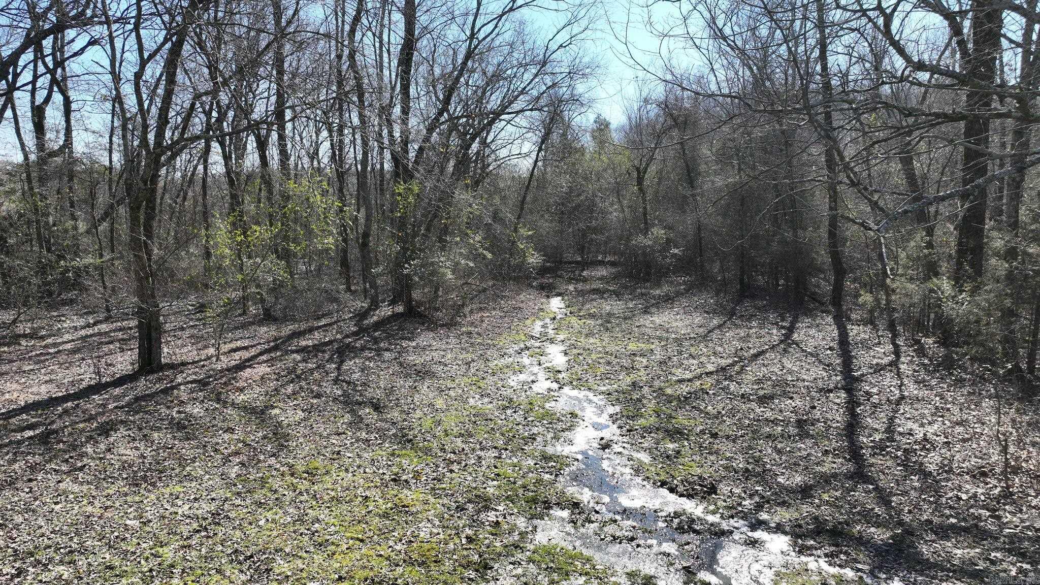364  Polk Road 194  Mena, AR
