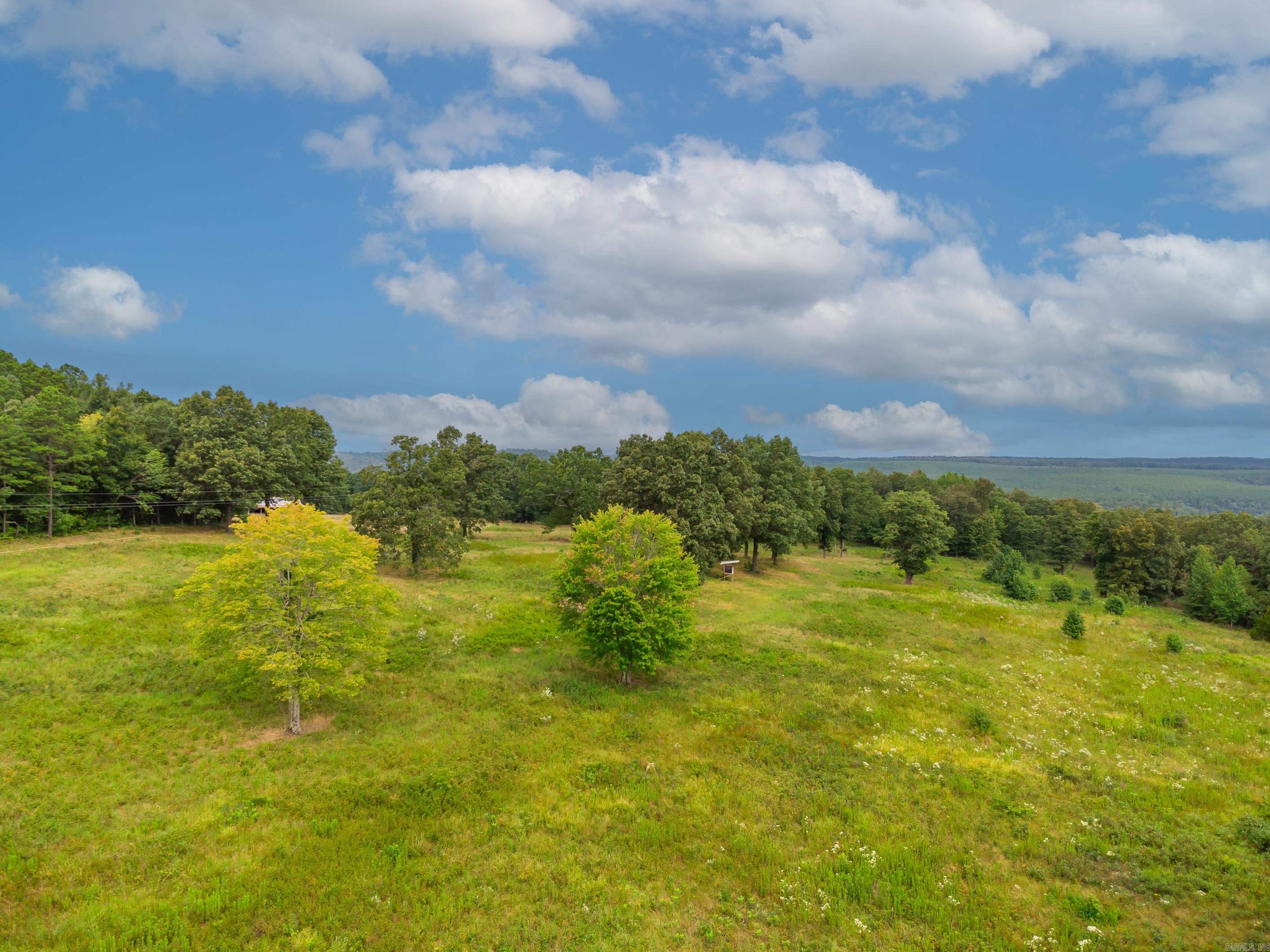 279  Candy  Clinton, AR