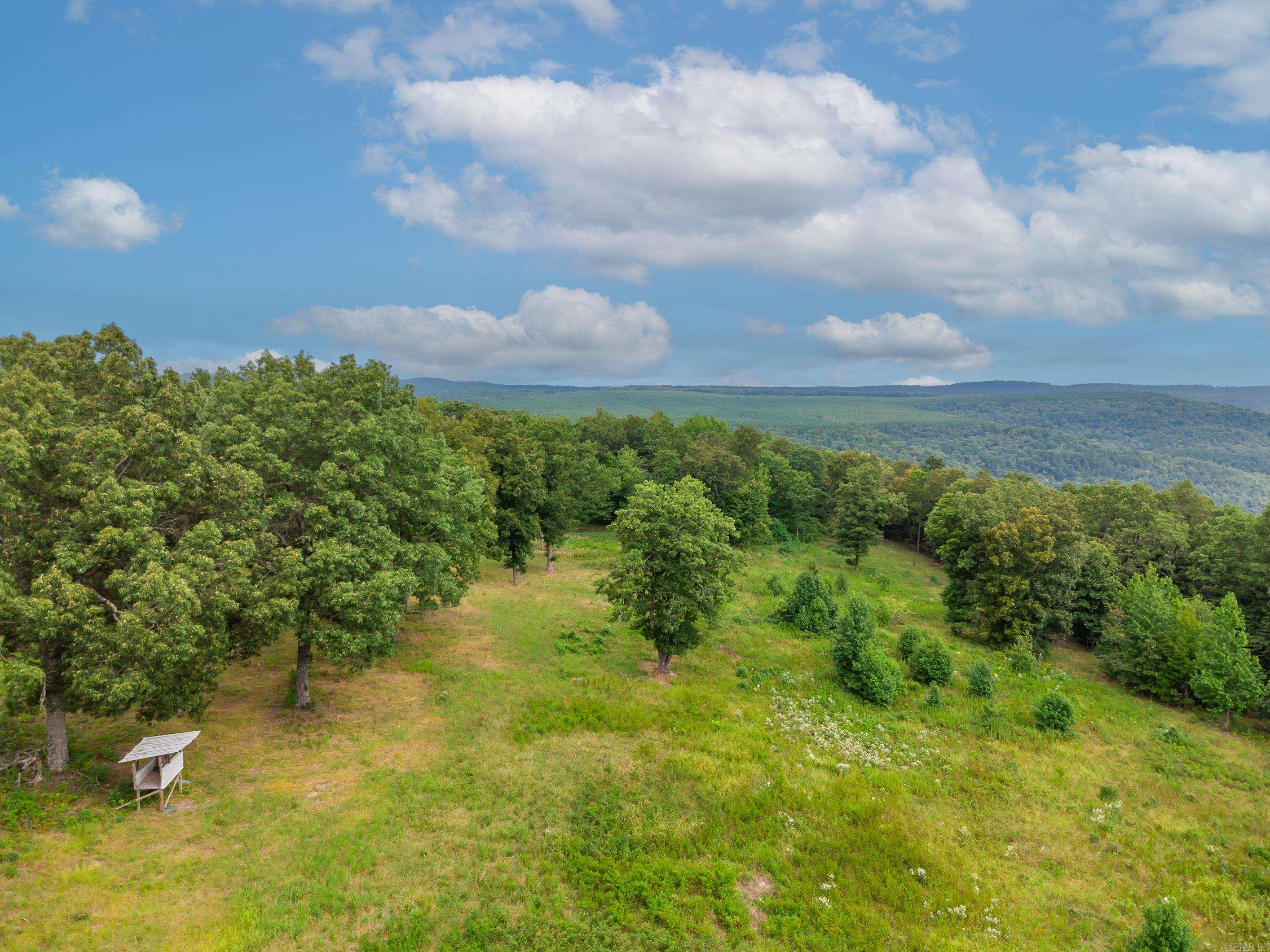 279  Candy  Clinton, AR