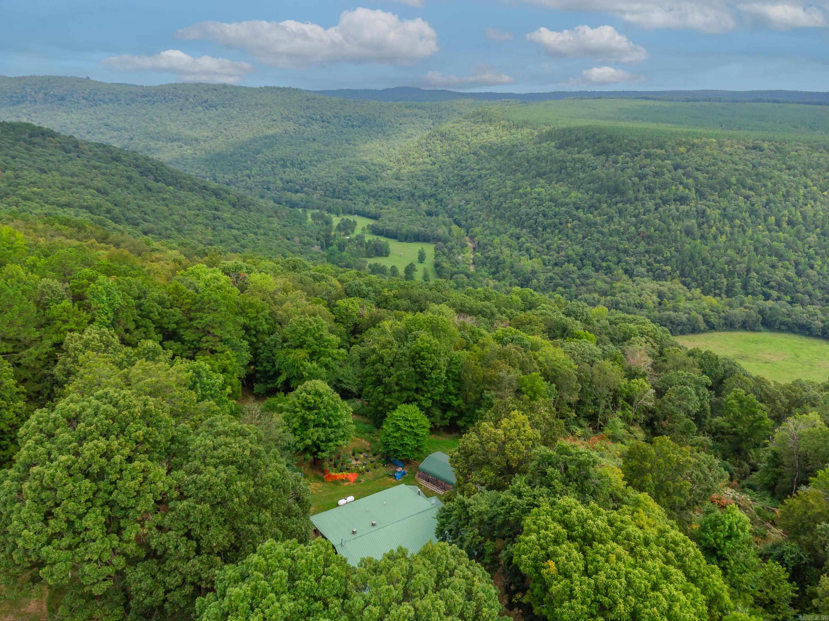 279  Candy  Clinton, AR
