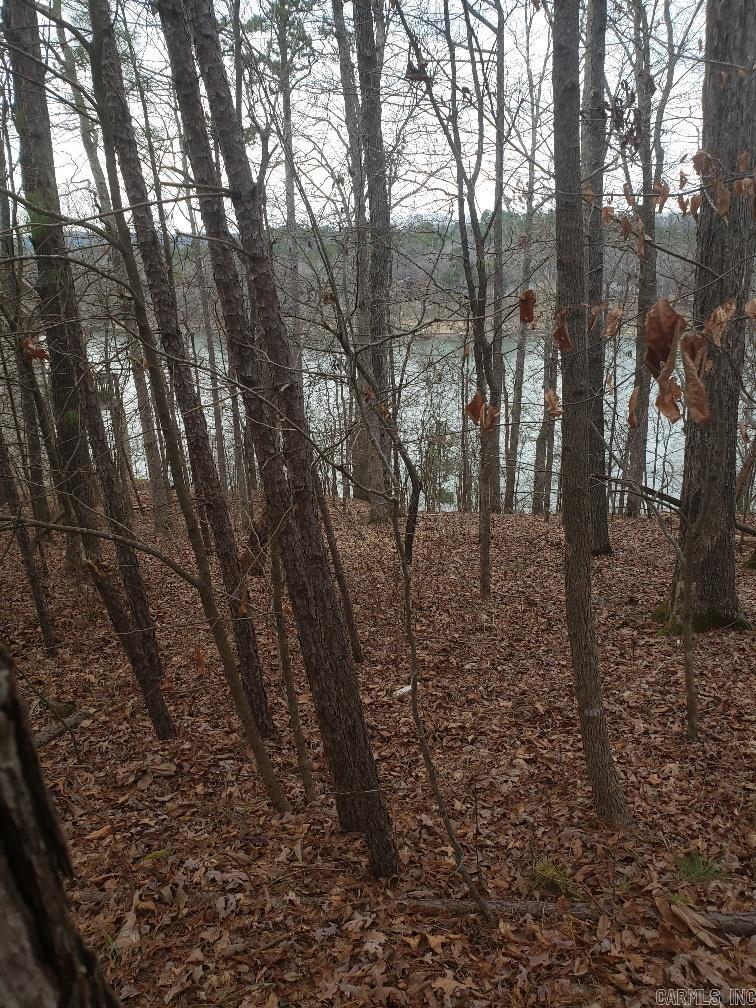 33 Waterfront Ct  Hot Springs, AR