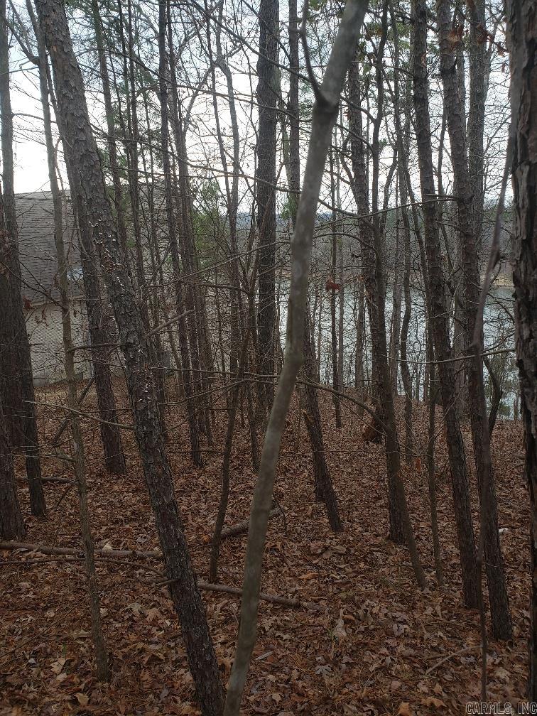 33 Waterfront Ct  Hot Springs, AR