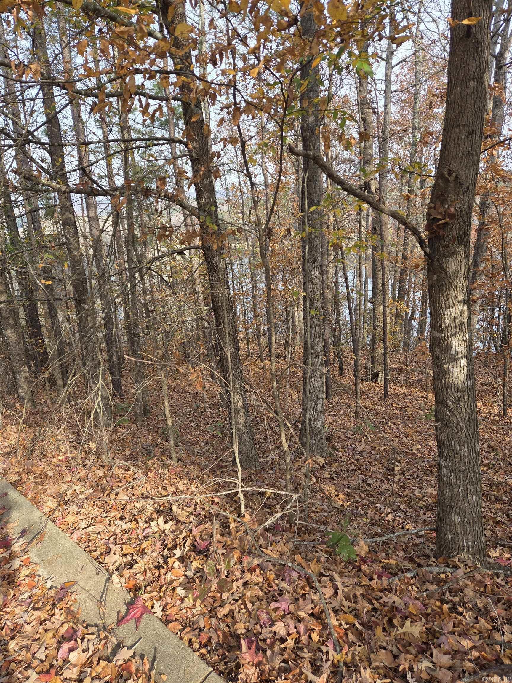 33 Waterfront Ct  Hot Springs, AR