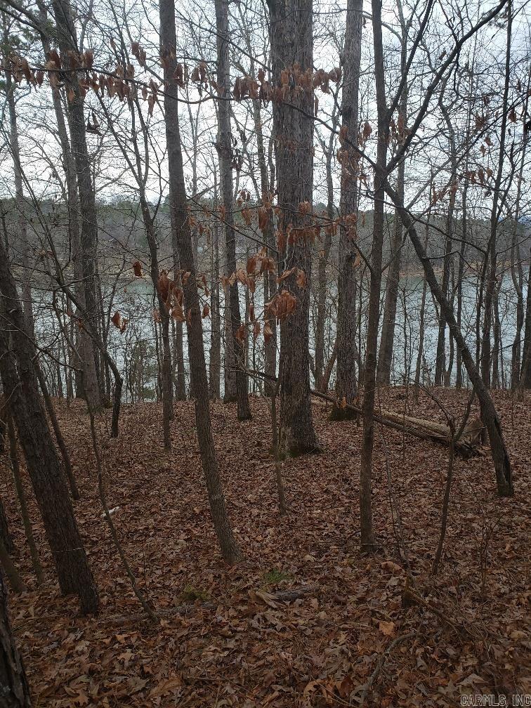 33 Waterfront Ct  Hot Springs, AR