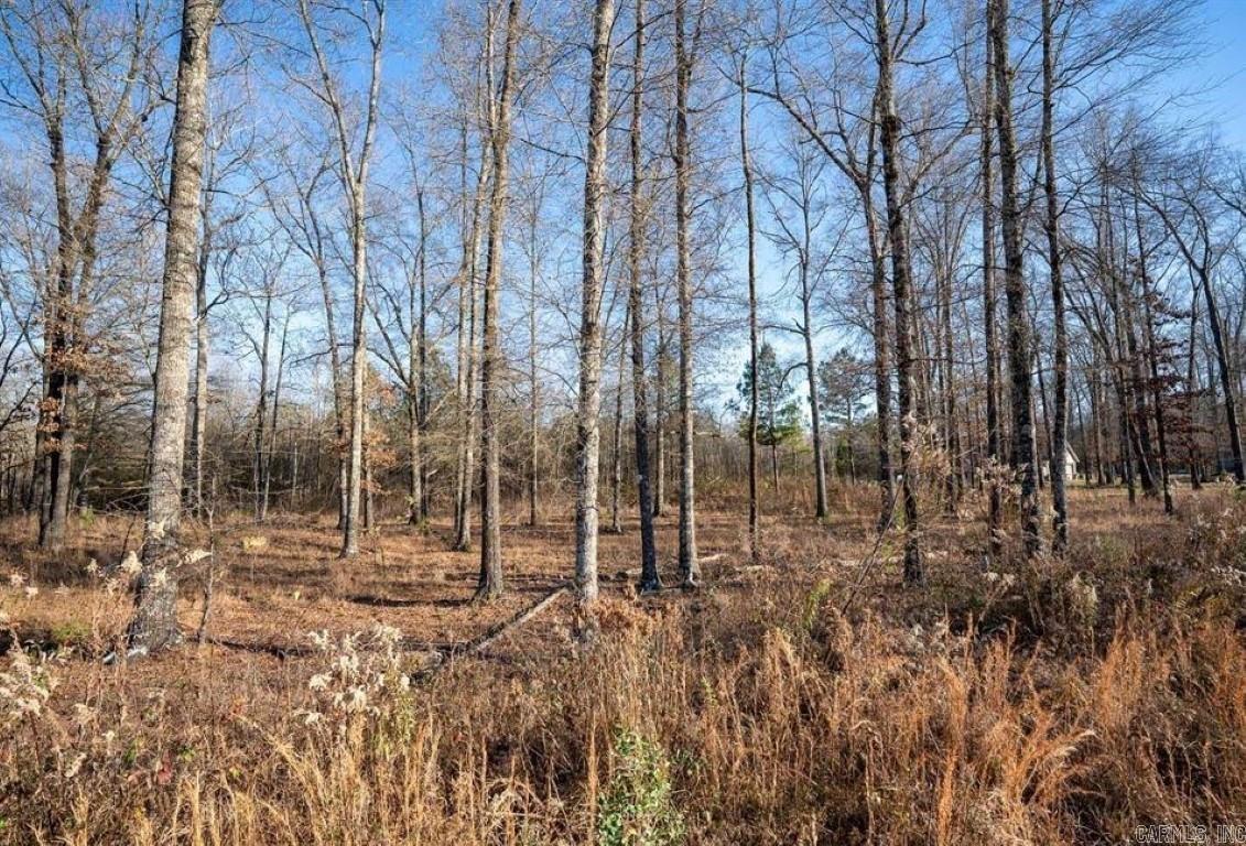 Lot 9  J Hawks  Greenbrier, AR