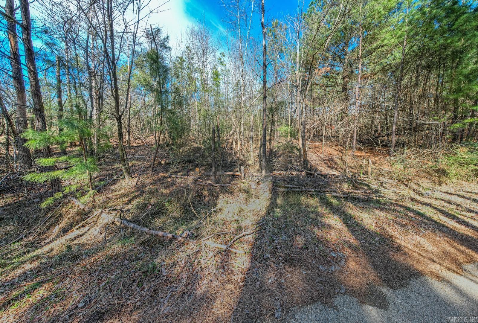 000  Kidder Lane  Hot Springs, AR