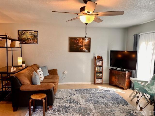 313  Tenth  Mountain Pine, AR