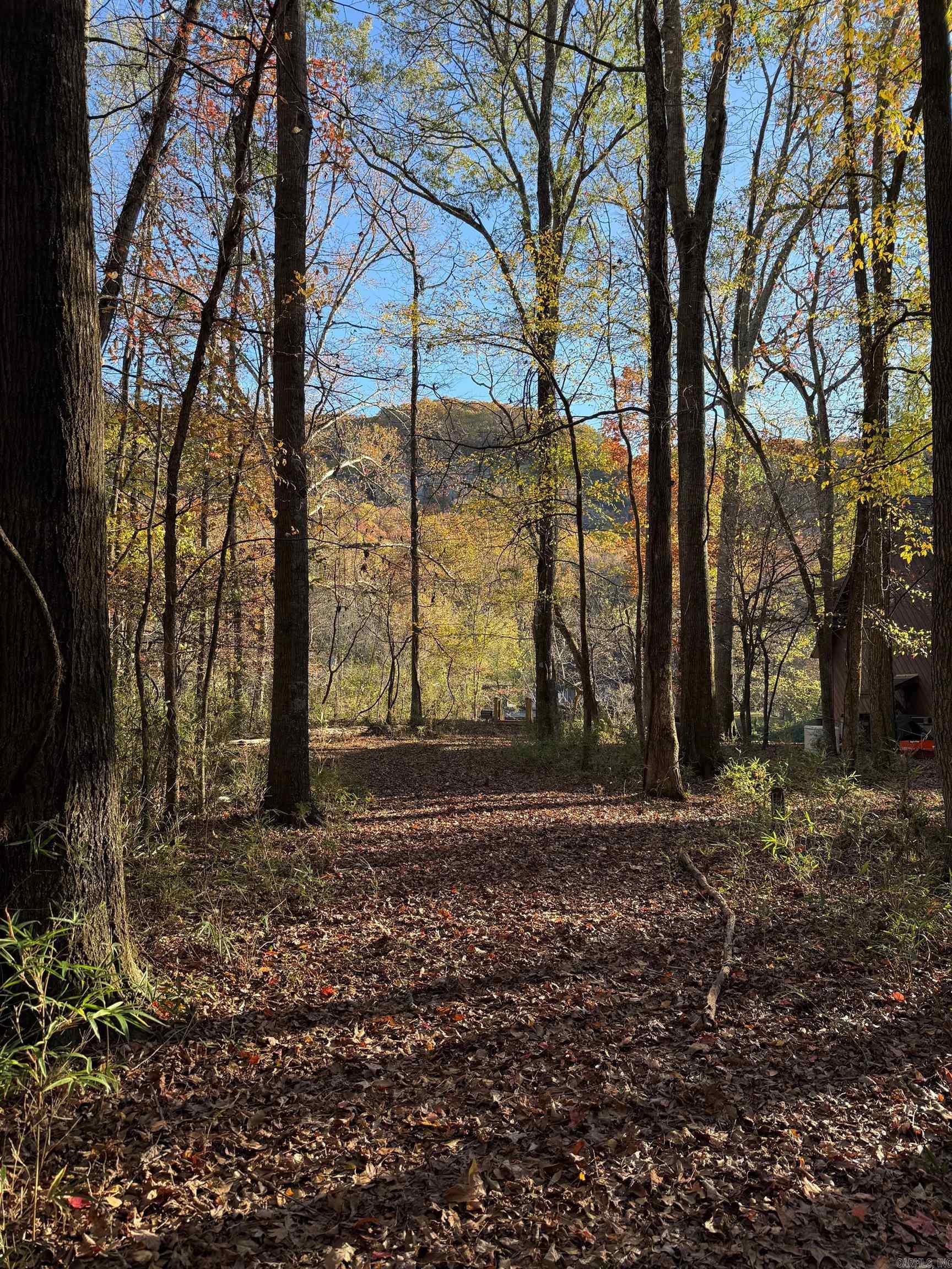 444  Wildflower  Heber Springs, AR