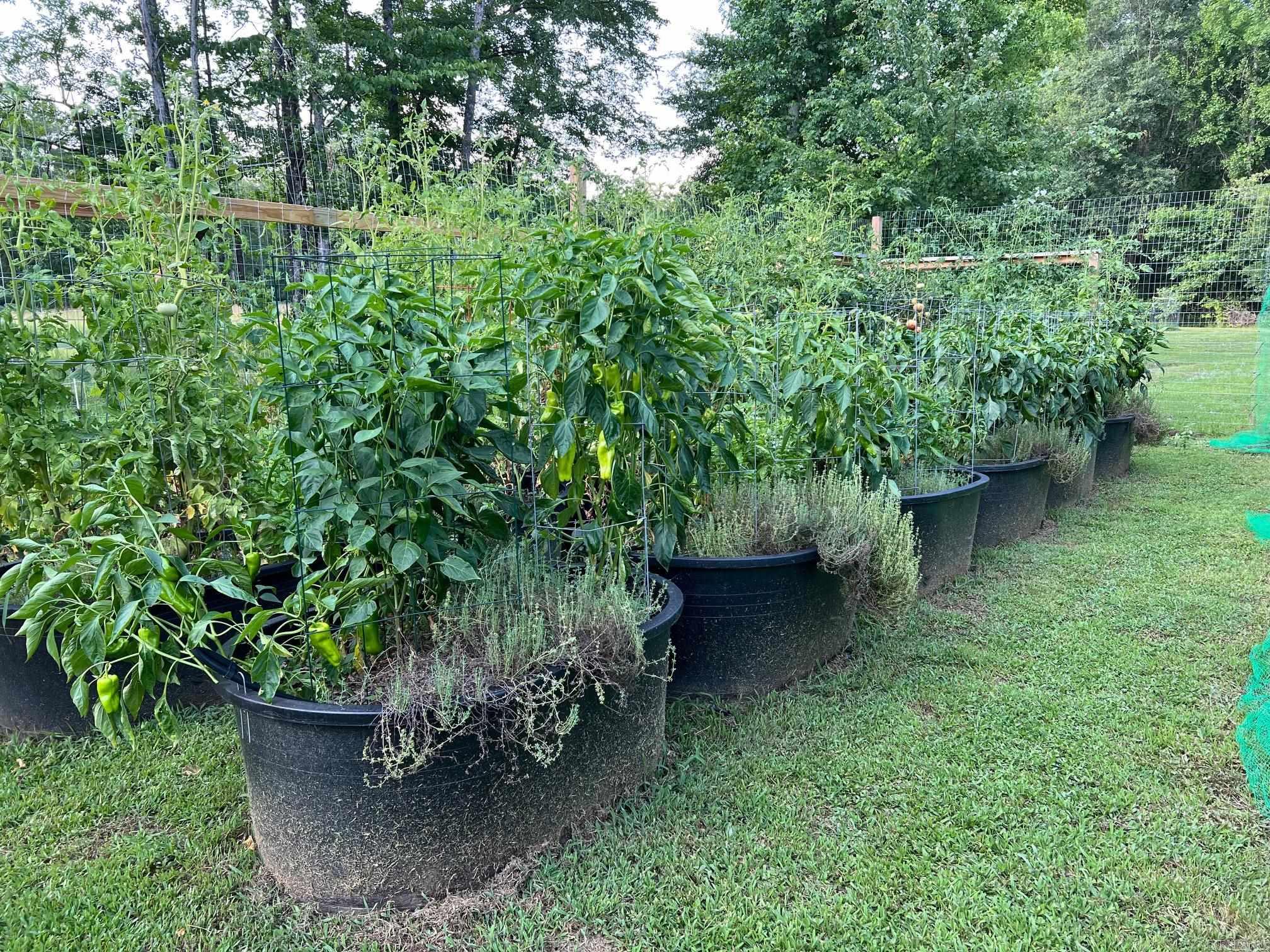 444  Wildflower  Heber Springs, AR