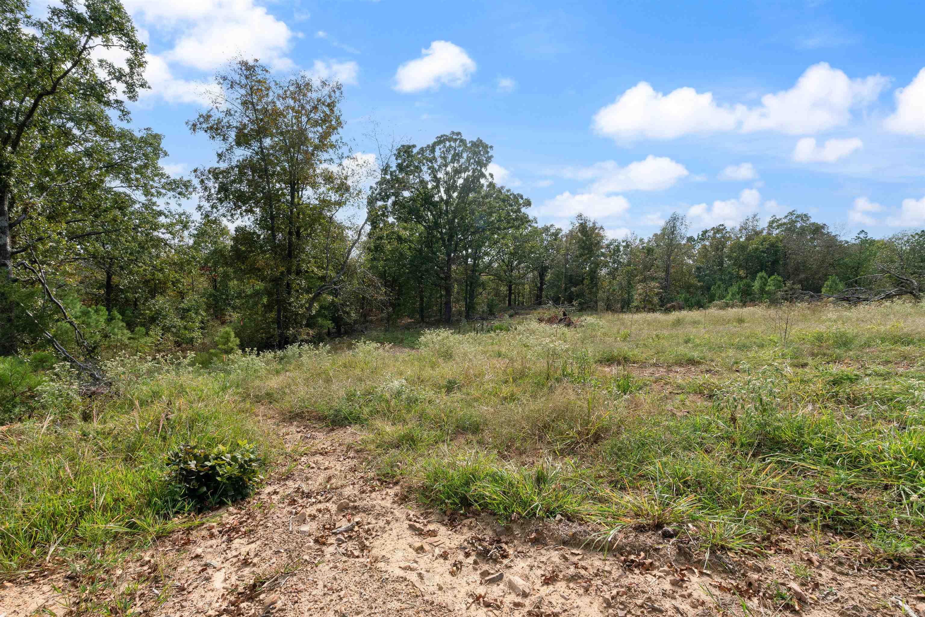 24  Four Mile Hill  Vilonia, AR