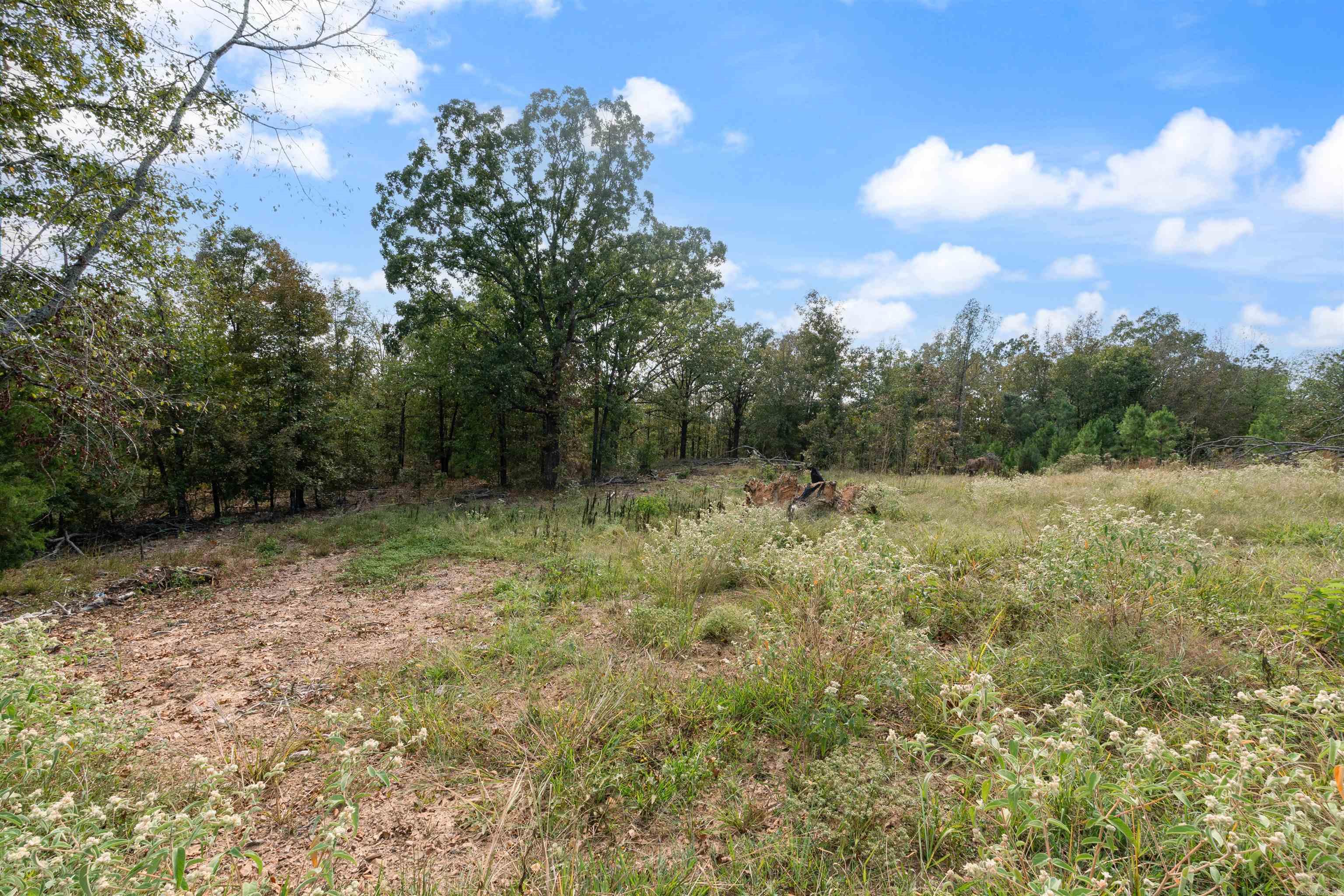 24  Four Mile Hill  Vilonia, AR
