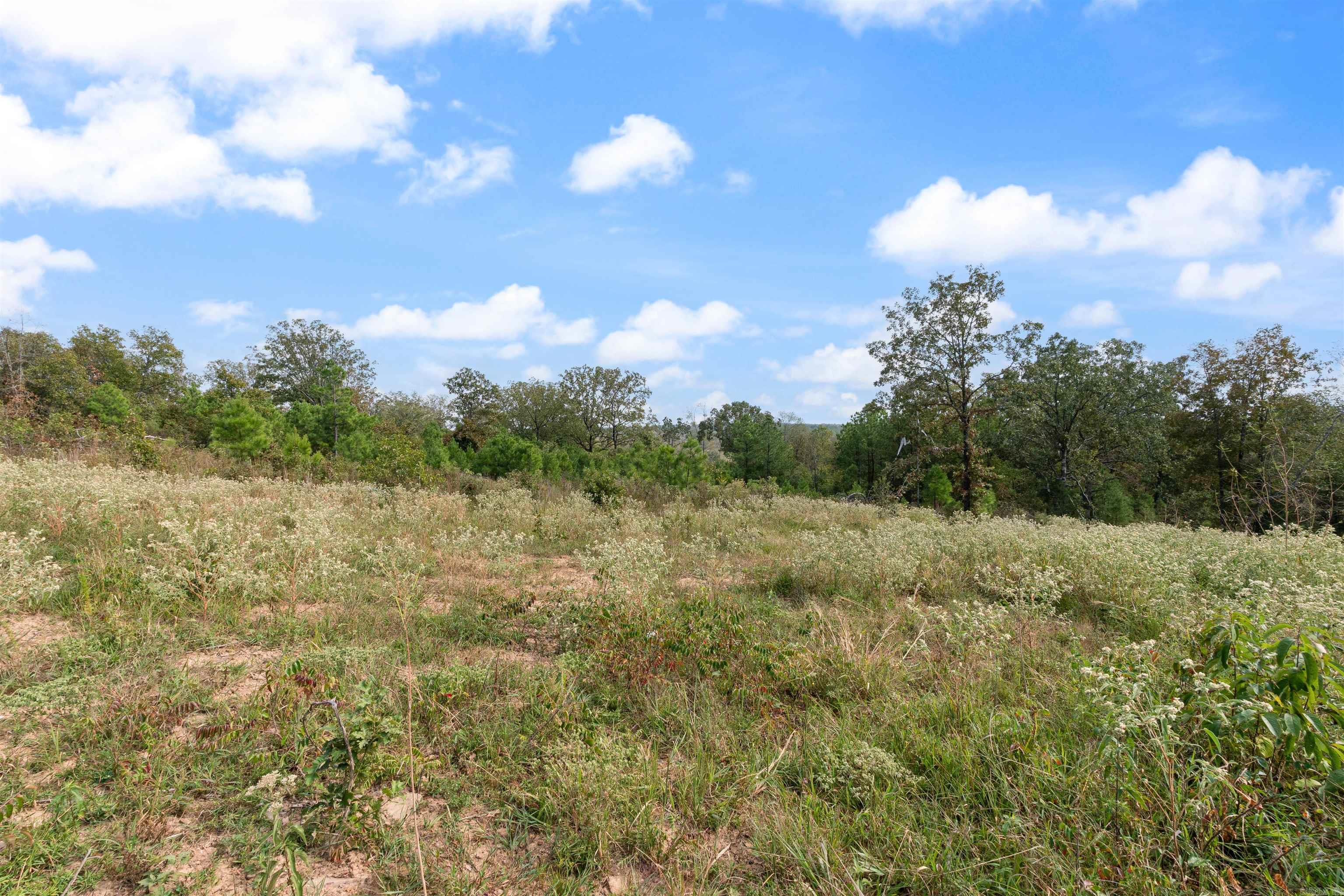 24  Four Mile Hill  Vilonia, AR