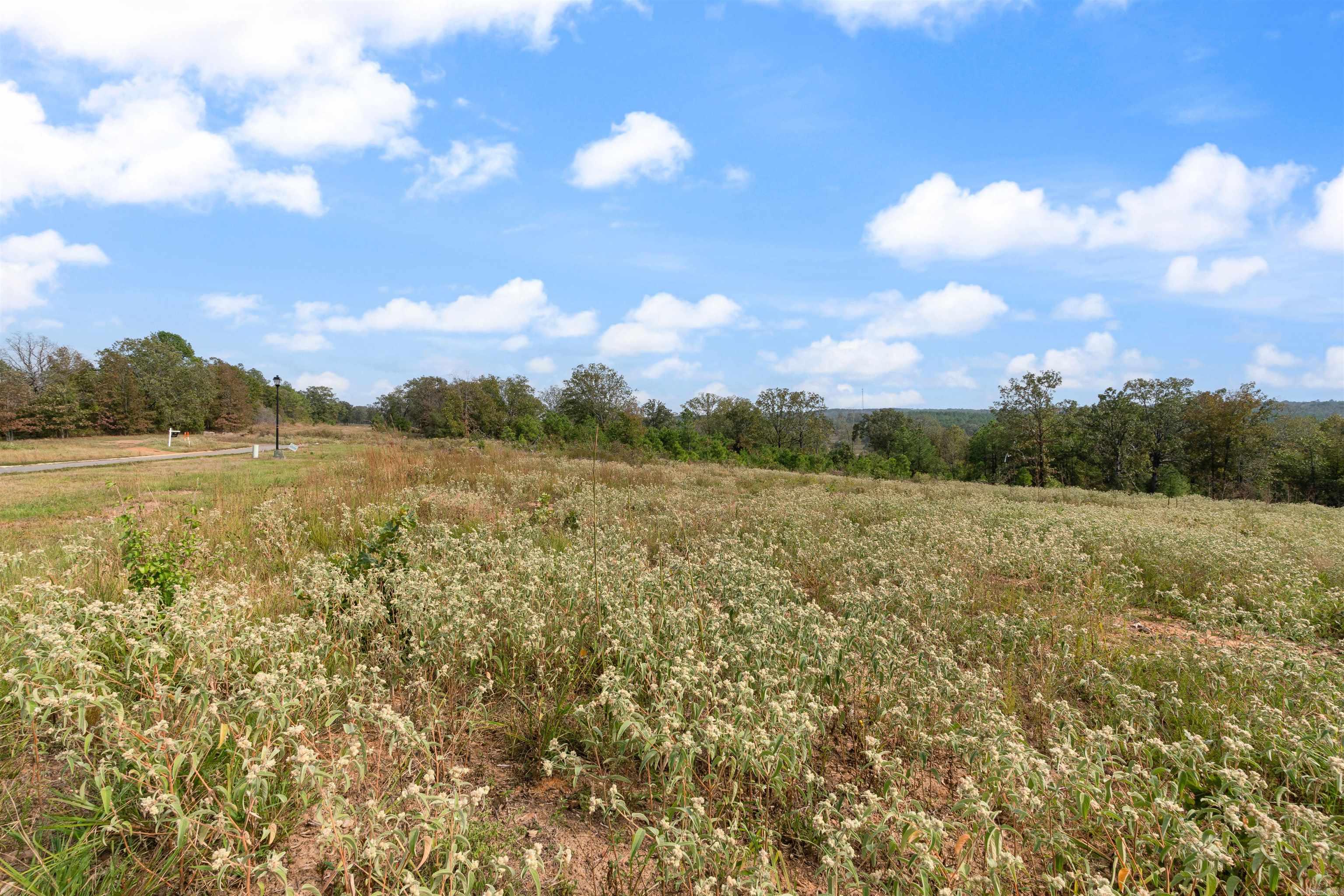 24  Four Mile Hill  Vilonia, AR