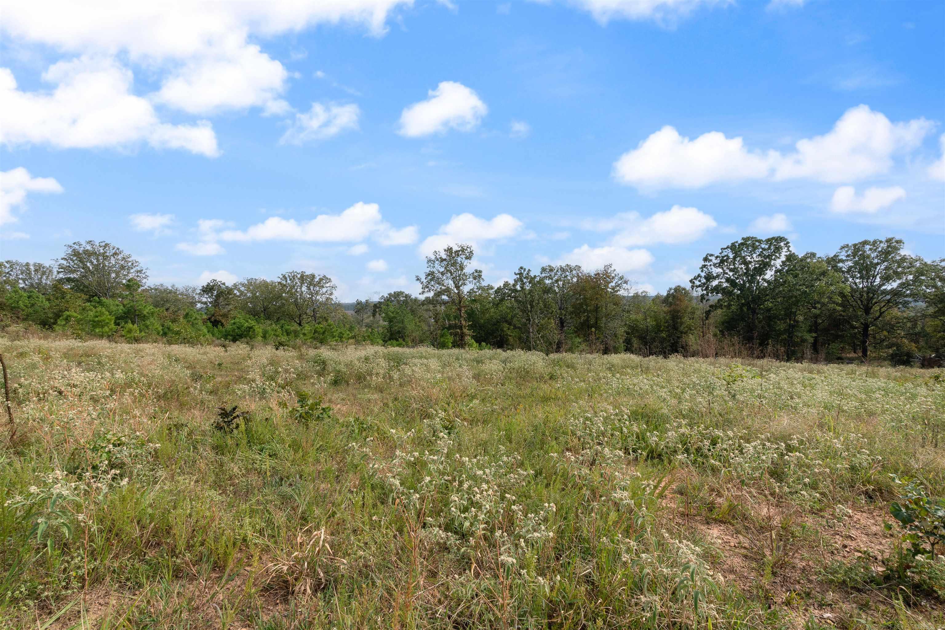 24  Four Mile Hill  Vilonia, AR