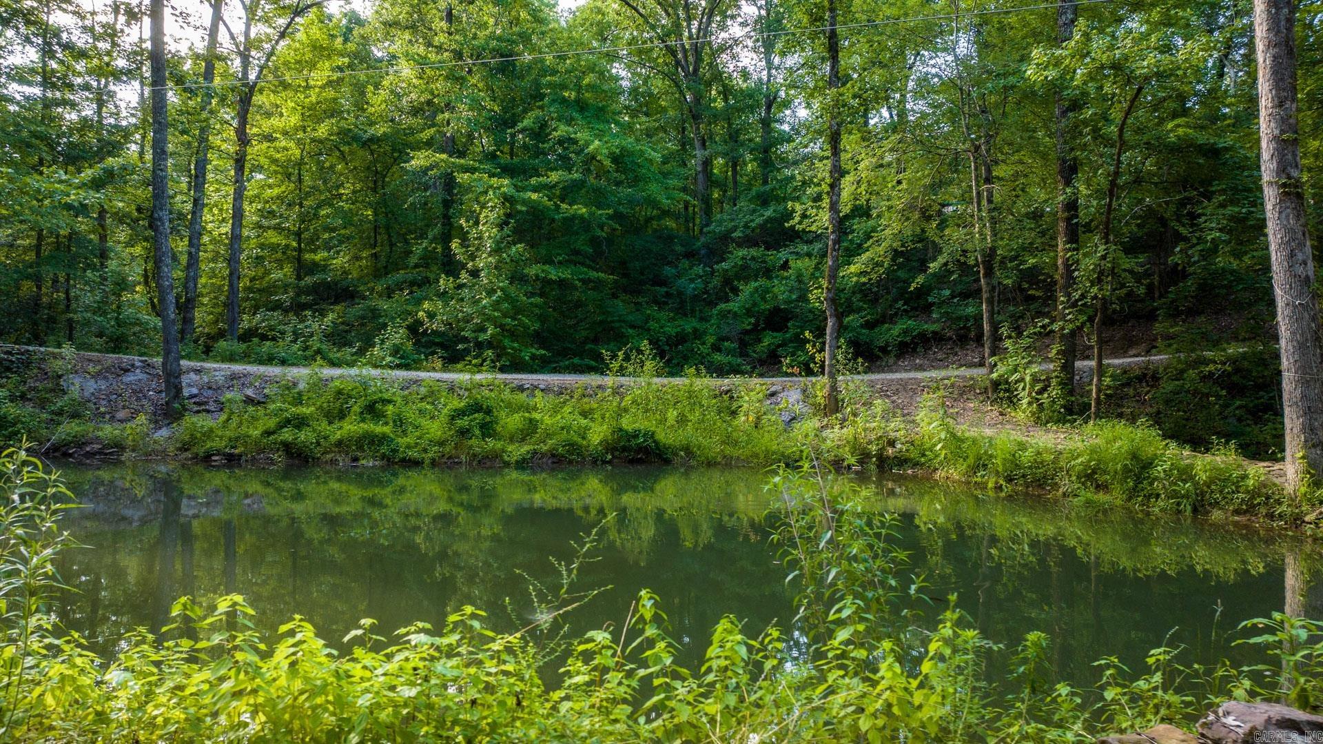 53  Lake Bennett Rd  Quitman, AR