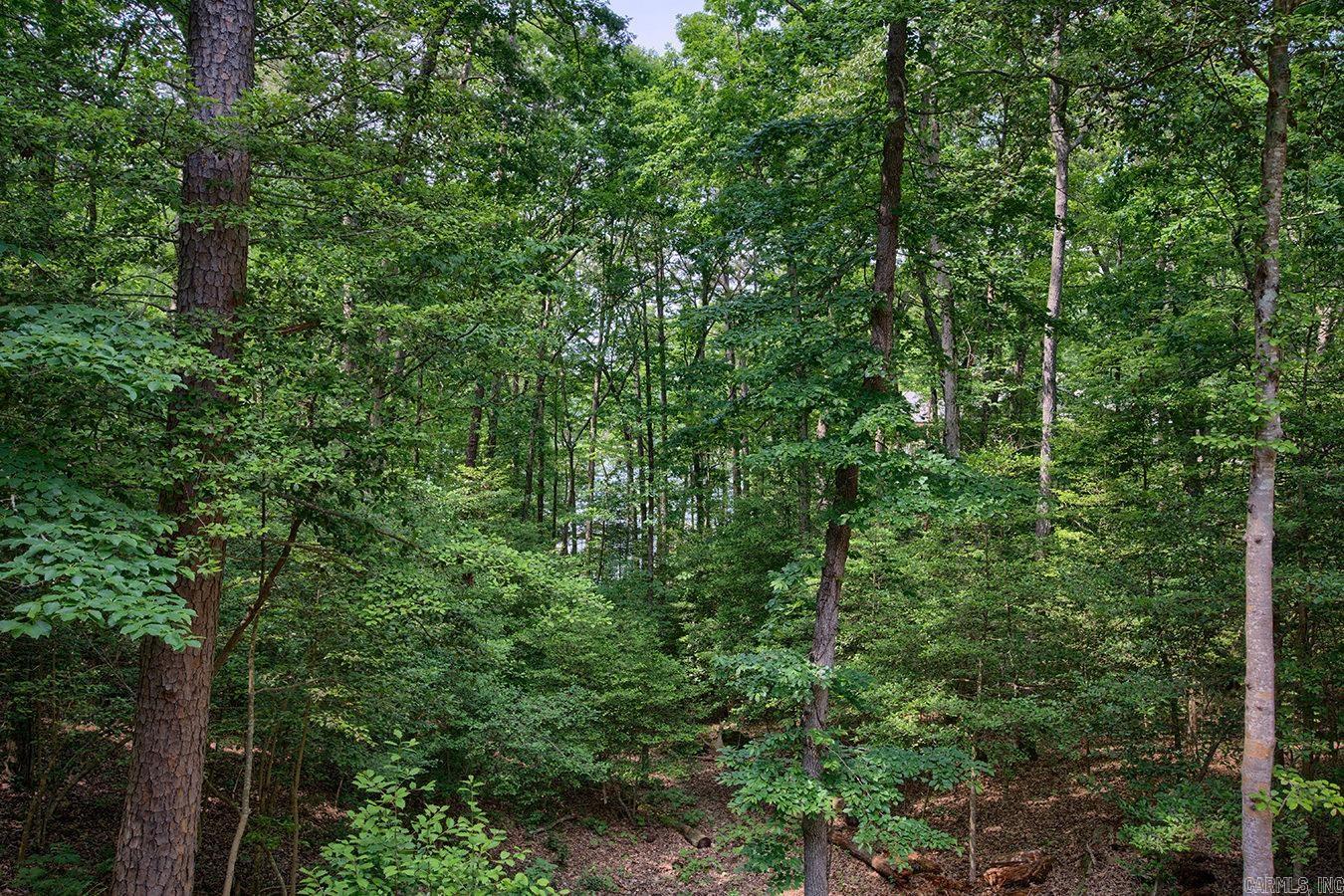 55 Zarpa Way Hot Springs Village, AR 71909