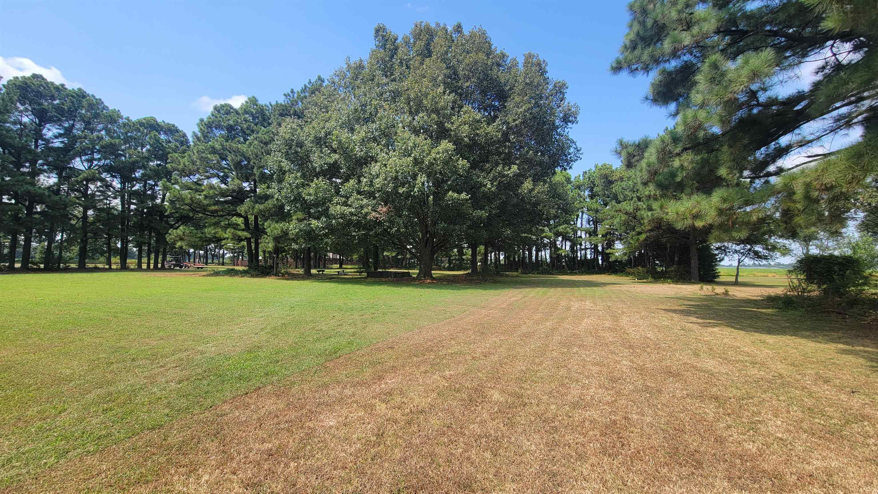 2466  CR 314  Manila, AR