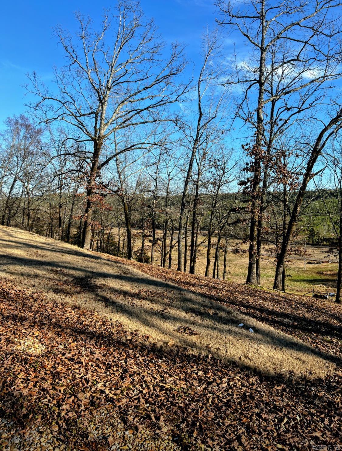 1066  Stony Point  Houston, AR
