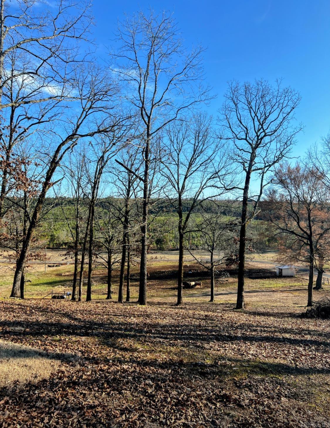 1066  Stony Point  Houston, AR