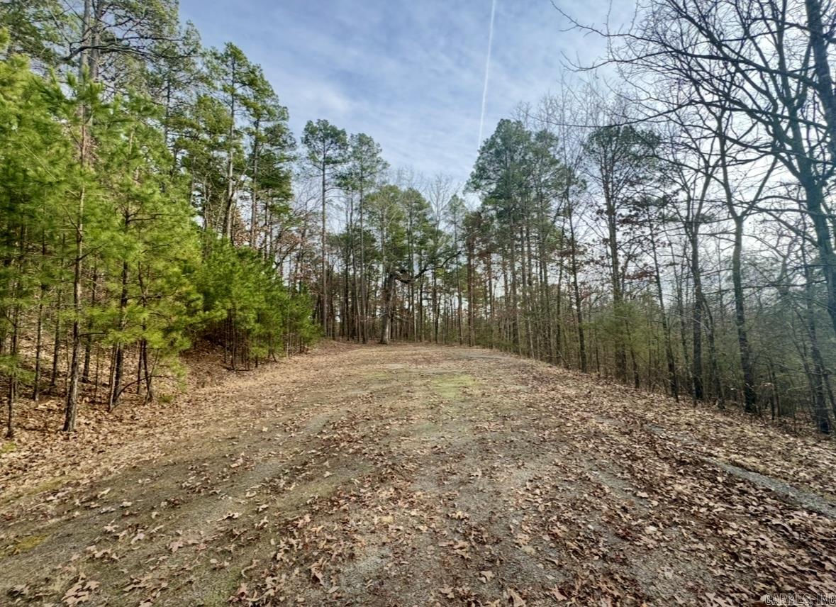 169  Brooke Ln.  Bee Branch, AR