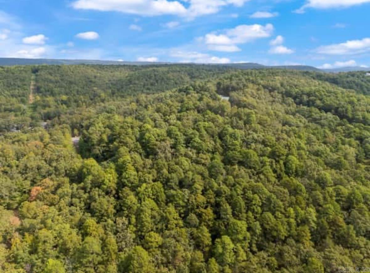 169  Brooke Ln.  Bee Branch, AR