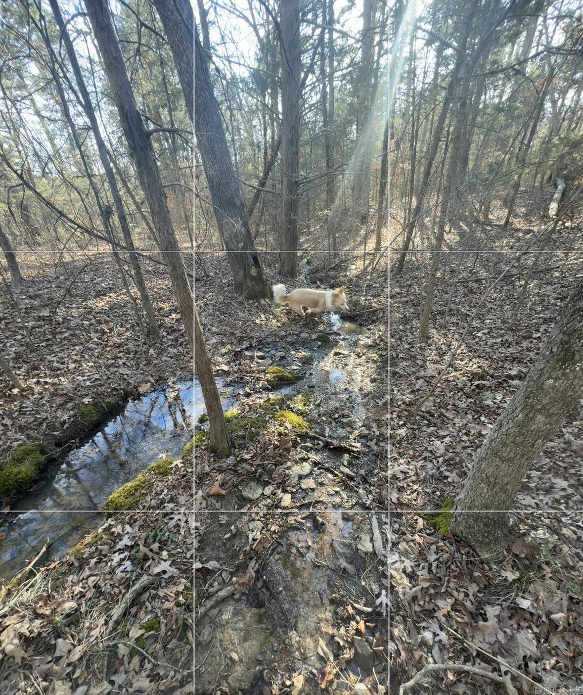 169  Brooke Ln.  Bee Branch, AR