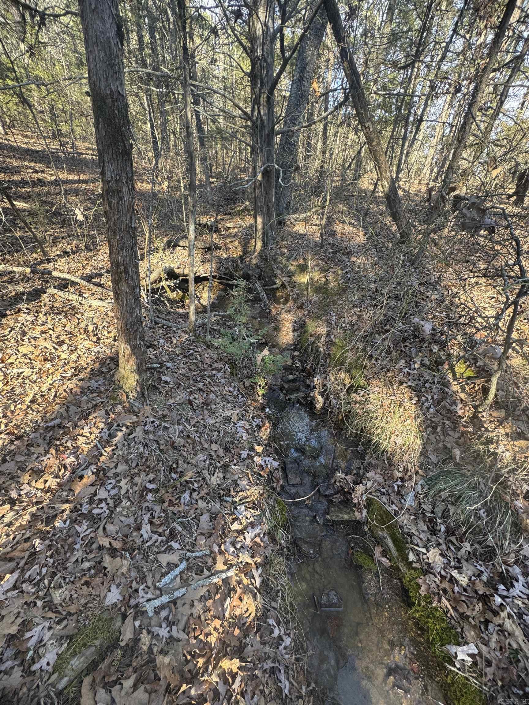 169  Brooke Ln.  Bee Branch, AR