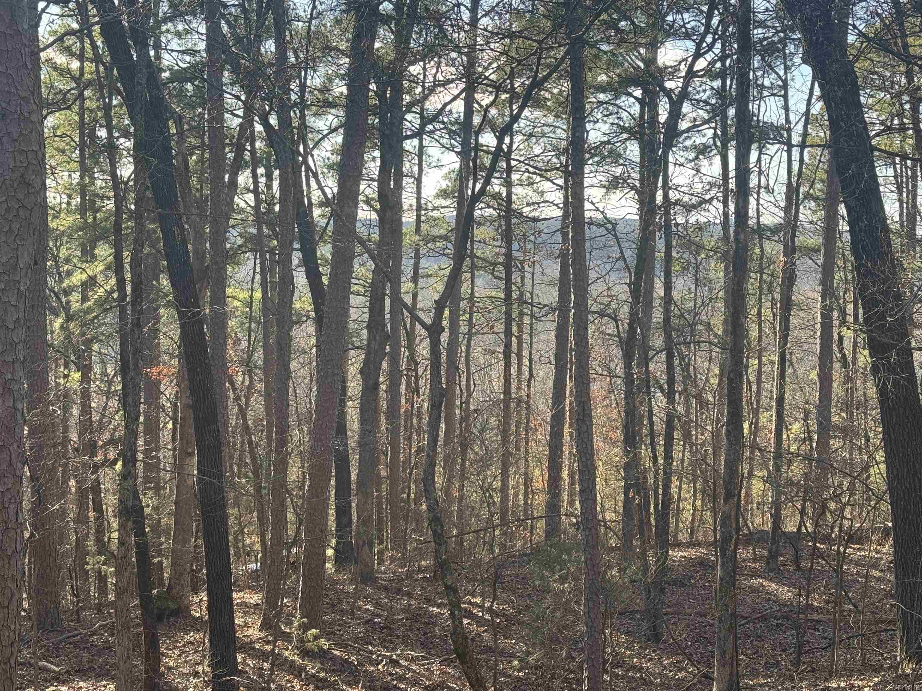 169  Brooke Ln.  Bee Branch, AR