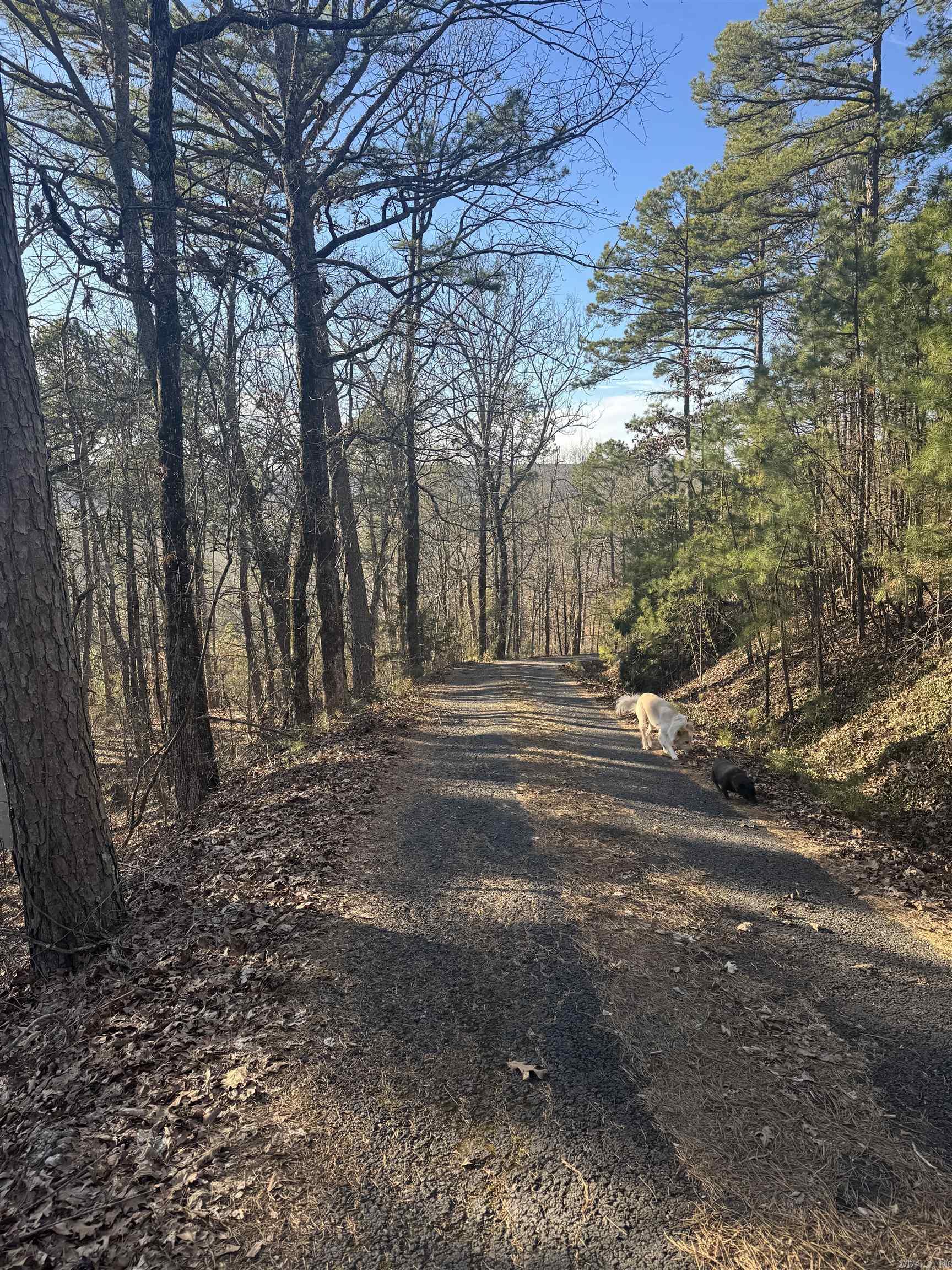 169  Brooke Ln.  Bee Branch, AR