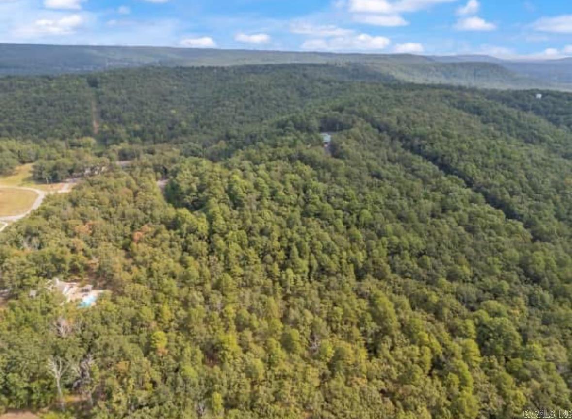 169  Brooke Ln.  Bee Branch, AR