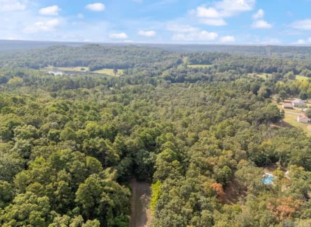 169  Brooke Ln.  Bee Branch, AR