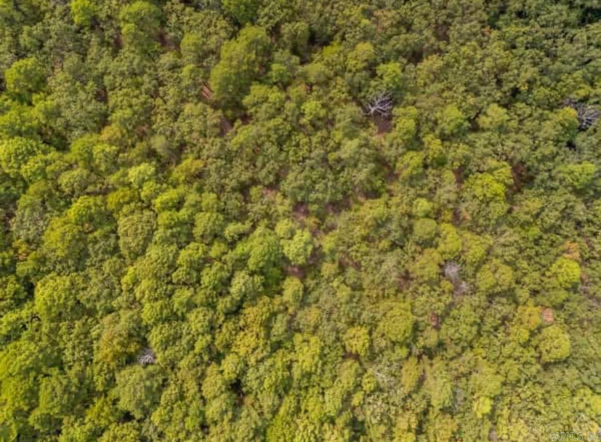 169  Brooke Ln.  Bee Branch, AR