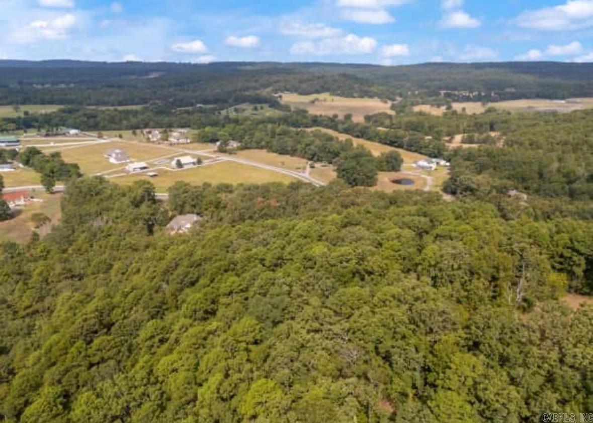 169  Brooke Ln.  Bee Branch, AR