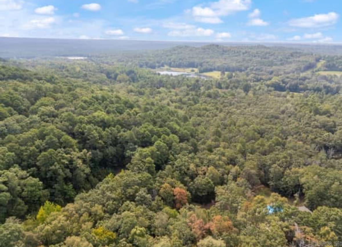 169  Brooke Ln.  Bee Branch, AR