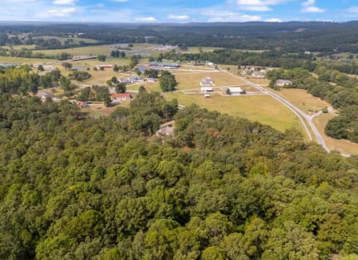 169  Brooke Ln.  Bee Branch, AR