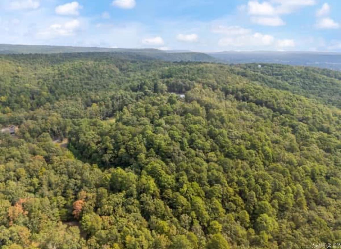 169  Brooke Ln.  Bee Branch, AR