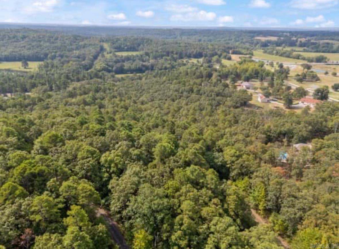 169  Brooke Ln.  Bee Branch, AR